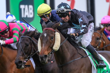 Ipswich Cup Day