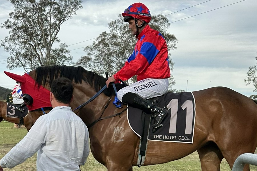Wayne O'Connell aboard Imarealamerican for trainer Dan Russell.