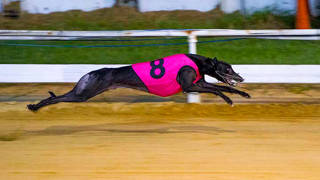 Trial of 14-race meetings at Townsville commencing