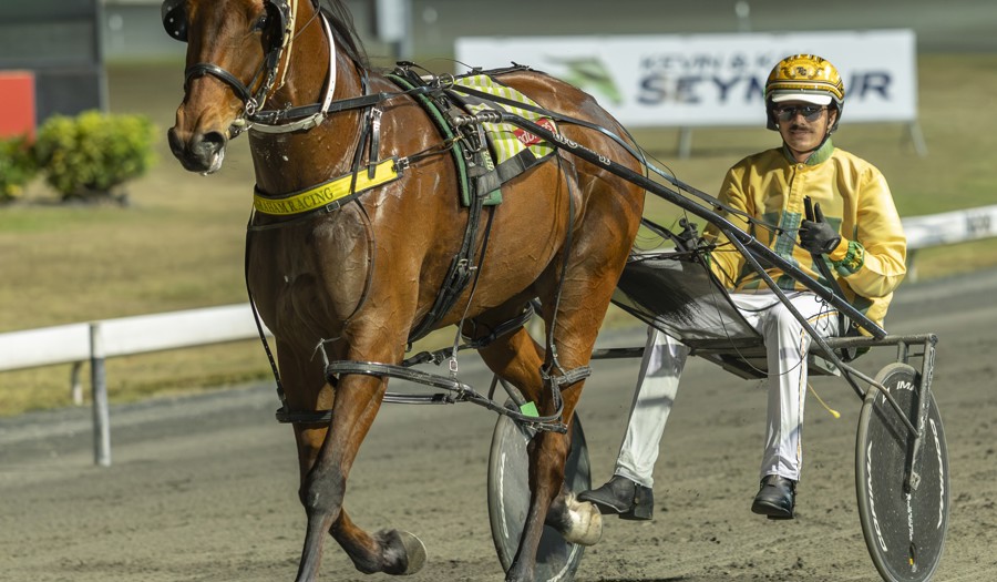 Tom Callaghan driving Dragon to victory for Darrel Graham.