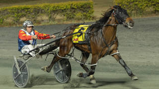 Oli's Oil - March 11 @ Redcliffe