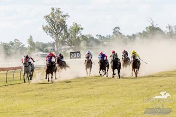 Texas Cup